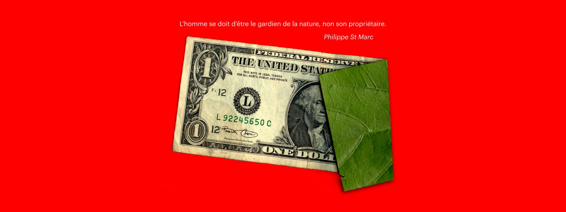 Un fond rouge avec un billet de 1 dollar au milieu. Sa partie droite
	    est repliée vers nous de manière à présenter le verso du billet dont la texture 
            est celle d'une feuille d'arbre rainurée.