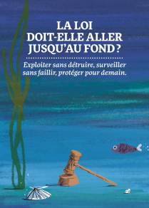 Maillet de juge reposant sur son tas au fond de la mer entre une algue, un poisson et un coquillage.
