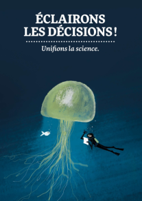Un plongeur observant une méduse géante luminescente